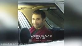 Mohsen Razaghi  Hale Nab