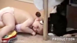 Babies annoying cats – Funny baby cat pilation