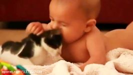 Cute Babies Snuggling Cats  Funny Cat loves Baby Compilation