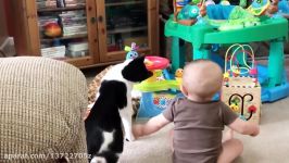 Babies and Cat are Best Friend  Babies and Cats Playing Together #2