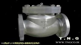 SWING CHECK VALVE