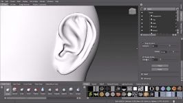 مدلسازی گوش انسان نرم افزارmudbox ساخت ساختمان گوش قلم 5