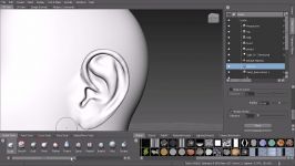 مدلسازی گوش انسان در نرم افزار mudbox 7 پایان قلم کوبی