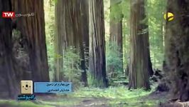 نماهنگ من بهارم تو زمین صدای خشایار اعتمادی