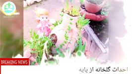 طرح عیدانه مزرعه ارگانیک شمال فرا رسید