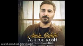 Amin Habibi  Ashegh Kosh 2018 امین حبیبی  عاشق کُش