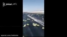 ویدئویی سقوط چند تُن شمش طلا هواپیمای روسیه