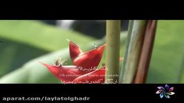 کلیپ دعای تحویل سال گروه بین المللی لیله القدر