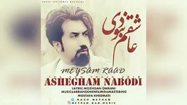 Meysam Raad  Ashegham Nabodi