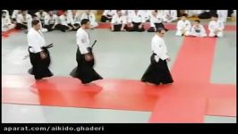 نمایش آیکیدو استاد قادری Iran Aikido.Ghaderi sensei