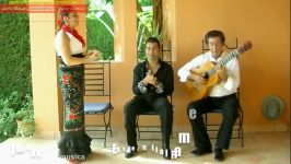 Juan Martin Essential Flamenco Guitar Vol.2 Intro