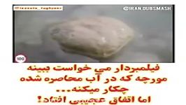 بزرگی خداوند در این ویدیو خلاصه میشود The greatness of God is seen in this video