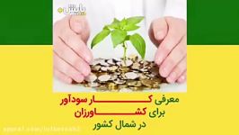 معرفی کار سودآور برای کشاورزان در شمال کشور