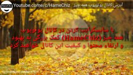 چه زن یا مردی را به خود جذب می کنید؟ 7 سوال نشان می دهد شما کدام شخصیت را به خود جذب می کنید