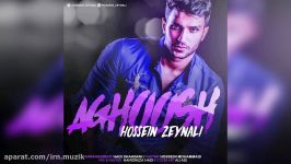 Hossein Zeynali  Aghoosh