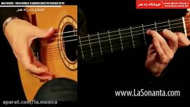 Max Herzog  Solea Bundle Deal  Maestro Serie Flamenco