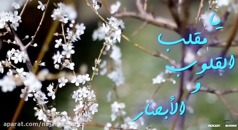 نجاران امروز سالی پر فراوانی برای شما آرزومند است