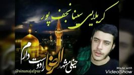 کربلایی سینا نجف پورمدافعان حرم