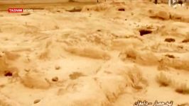 «تپه حصار دامغان» میراثی ۷ هزارساله تمدن کهن استان سمنان