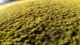 Syma X8W vs ZMR 250 FPV Quad Fun