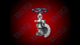 Globe Valve