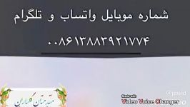 مترجم چینی در چین شهر گوانگجو گوانجو