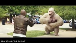 اولین کلیپ رسمی فیلم Rampage دواین جانسون