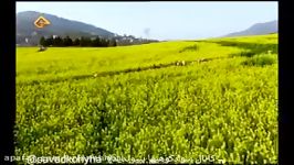 Mazandaran  Northern Iran  موسیقی بسیار شاد زیبای عیدی   مازندرانی  تبرست