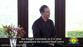 Discovering What Fear is Made Of  Rupert Spira