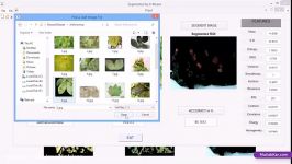 فیلم پروژه تشخیص طبقه بندی بیماری گیاهان MATLAB