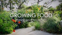 کمپ کشاورزی Food Growing Boot Camp