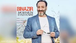 Mohsen Dadashi  Binazir