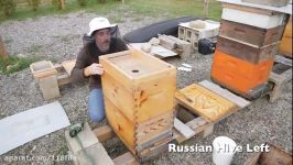 آموزش گام به گام کامل زنبورداری در وب سایت 118فایل