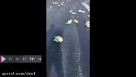 سقوط محموله شمش طلا هواپیما در روسیه