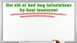 My Single Best Method For Bed Bug Treatment  HOME REMEDIES FOR BED BUGS