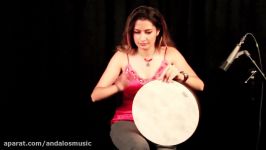 ساز کوبه ای Frame drum برند Remo