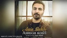 Amin Habibi Ashegh Kosh