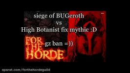 bug zadan guild siege of azeroth D full version