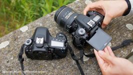 Nikon D7500 vs Canon EOS 80D  Mittelklasse DSLRs im Vergleich Deutsch