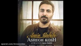 Amin Habibi  Ashegh Kosh 2018 امین حبیبی  عاشق کُش